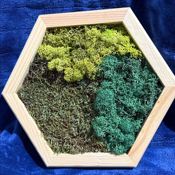 Hexagonal Framed Moss Wall Art Trio - Green and Natural Tones - Picture 6 of 9